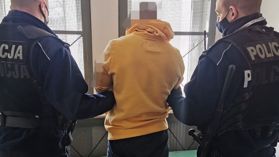 Wandal w rękach policjantów