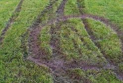 Głogów. Zatrzymano wandali. Nastolatkowie odpracują swoją głupotę