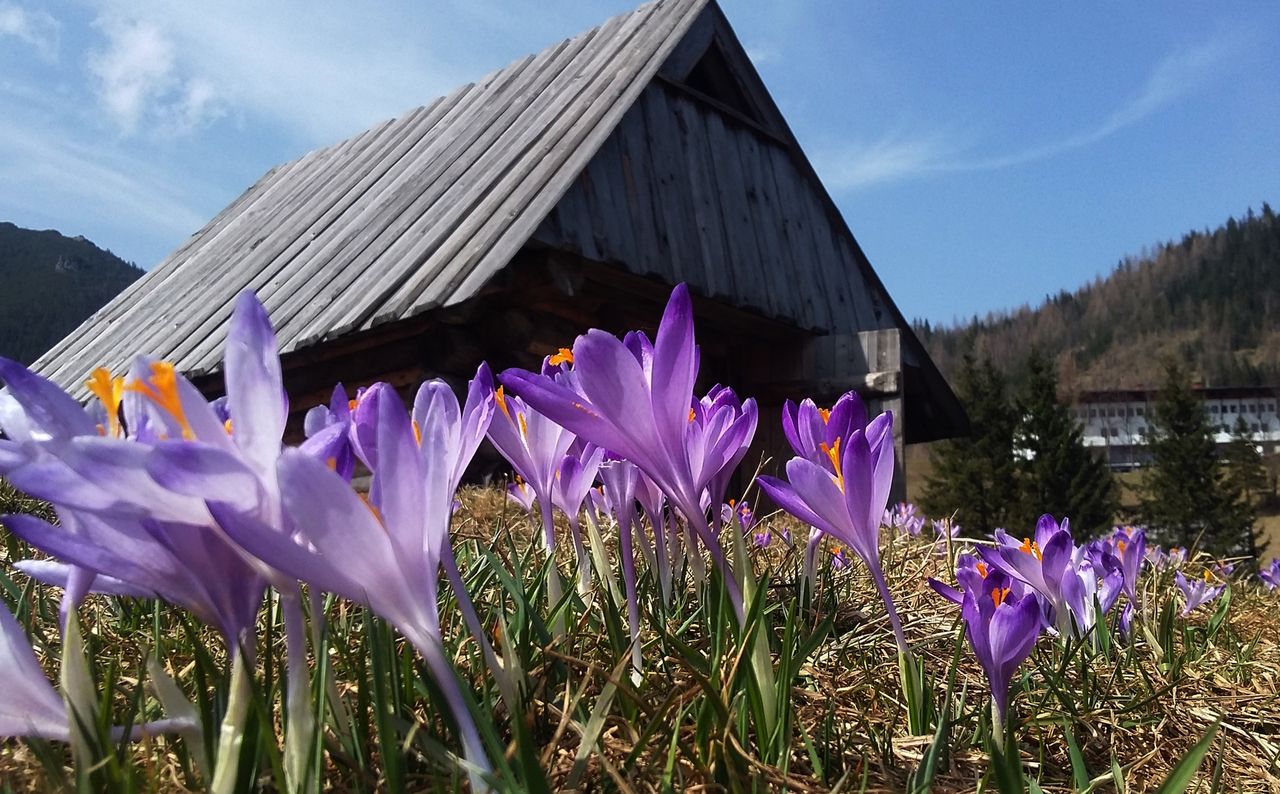 Przynajmniej raz w roku odwiedzam nasze Tatry. Są bliskie mojemu sercu. Wędrując szlakami czuję się, jak w innym świecie, z daleka od zgiełku miast, w ciszy i spokoju. Moje myśli wtedy odpływają, a ja czuję się niesamowicie - mówi Kasia.