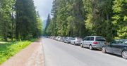 Policjanci ze Słowacji nie mają litości. "Mandat to ok. 800 euro"