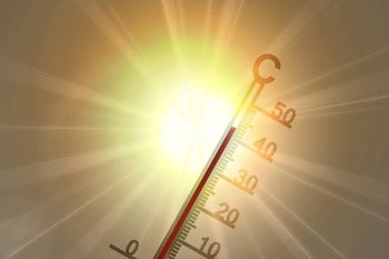 Rolnictwo wobec zmian klimatu – profesor z Poznania apeluje o wsparcie zamiast restrykcji