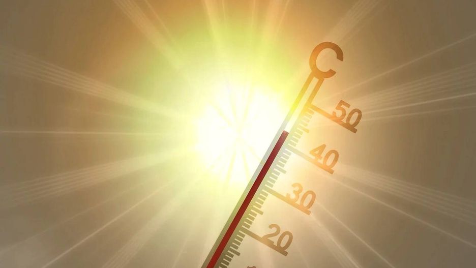 Rolnictwo wobec zmian klimatu