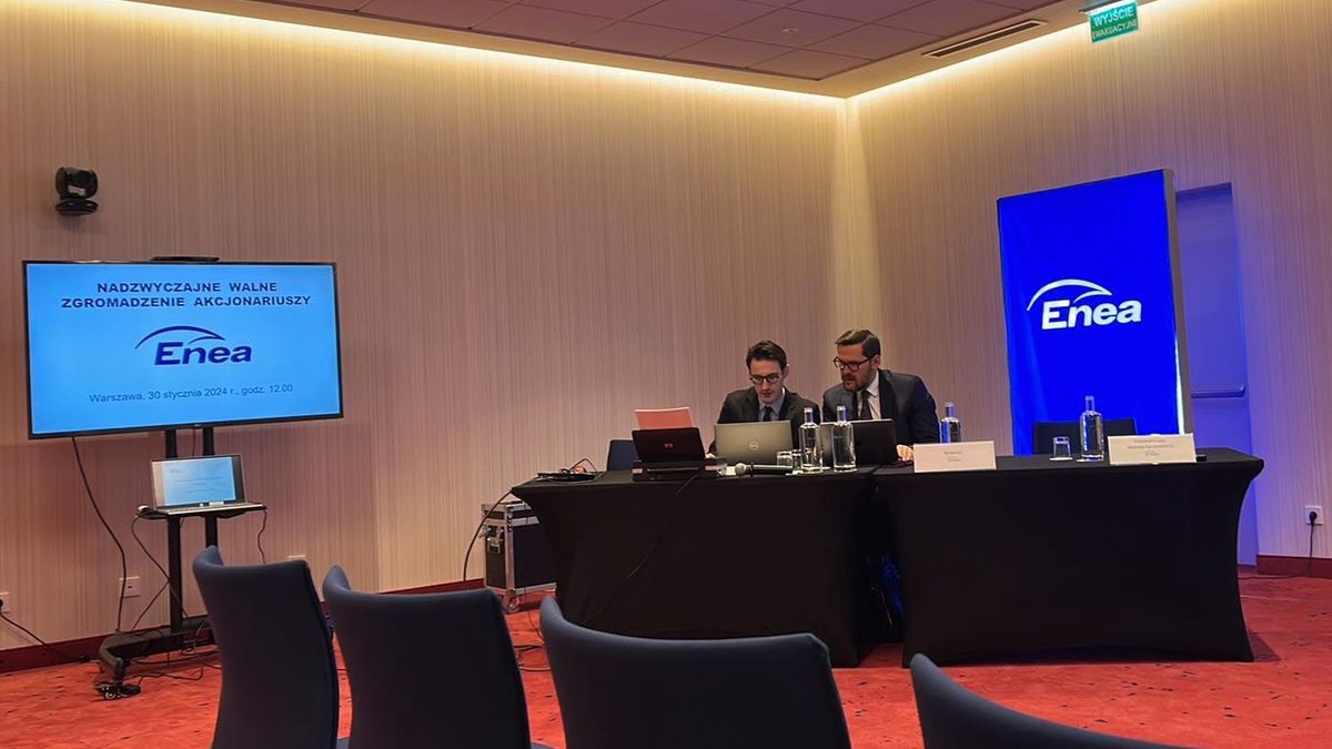Walne zgromadzenie akcjonariuszy Enea