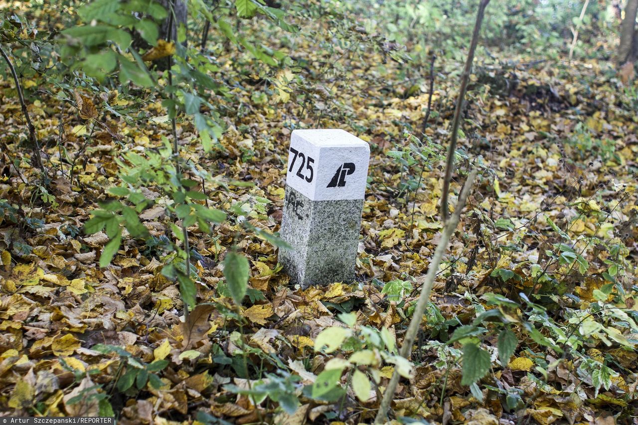 Mało kto zwraca na nie uwagę. Mogą pomóc w potrzebie