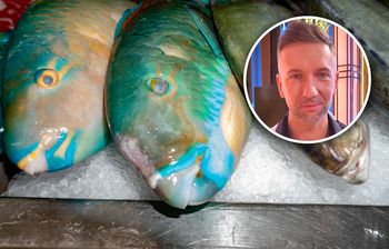 Uczestniczka "MasterChefa" usmażyła papugorybę. Klima wyczuł to już po pierwszym kęsie