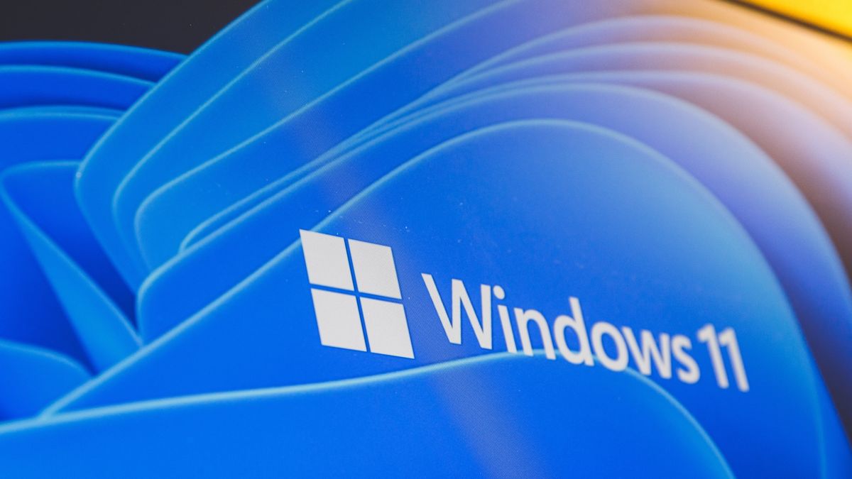 Windows 11