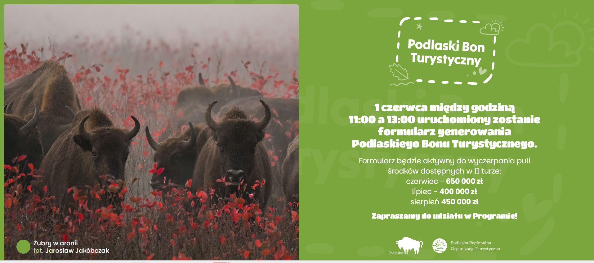 Do 12:15 na stronie widniała informacja, że start akcji zapl