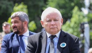 Telus: "Boję się, że jeśli Kaczyńskiego zabraknie, PiS się rozpadnie"