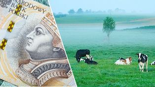 Do wzięcia 234 ha od KOWR. Zaskakująco niski czynsz, jednak jest pewne „ale”