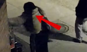 Była 22:28. Dziewczyna nagrana w Elblągu. Ręce opadają
