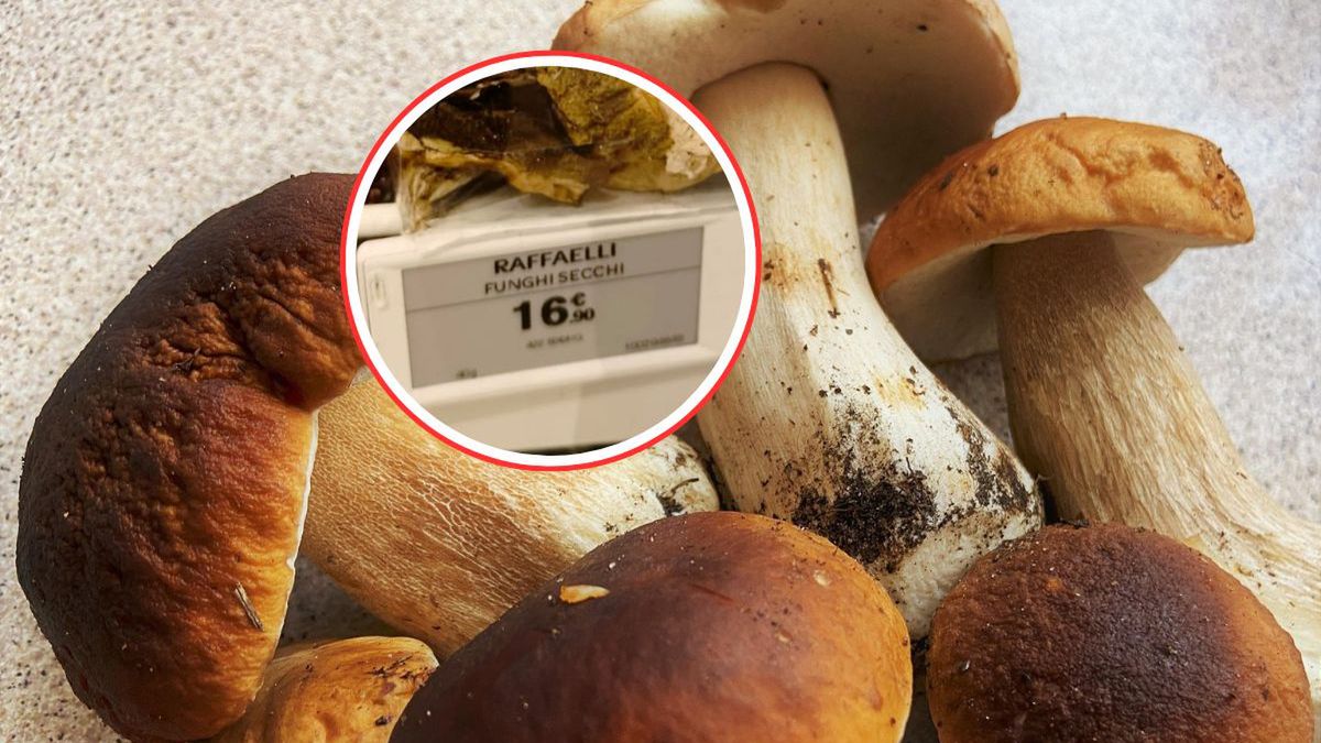 Szok cenowy we Włoszech. Suszone grzyby droższe niż złoto?