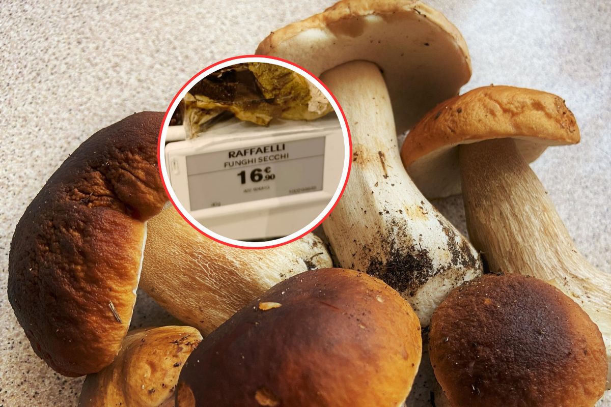 1800 zł za 1 kg. Przesada? Taką cenę zobaczył na lotnisku