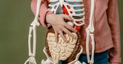 Czy znasz swoje ciało? Sprawdź się w krzyżówce anatomicznej