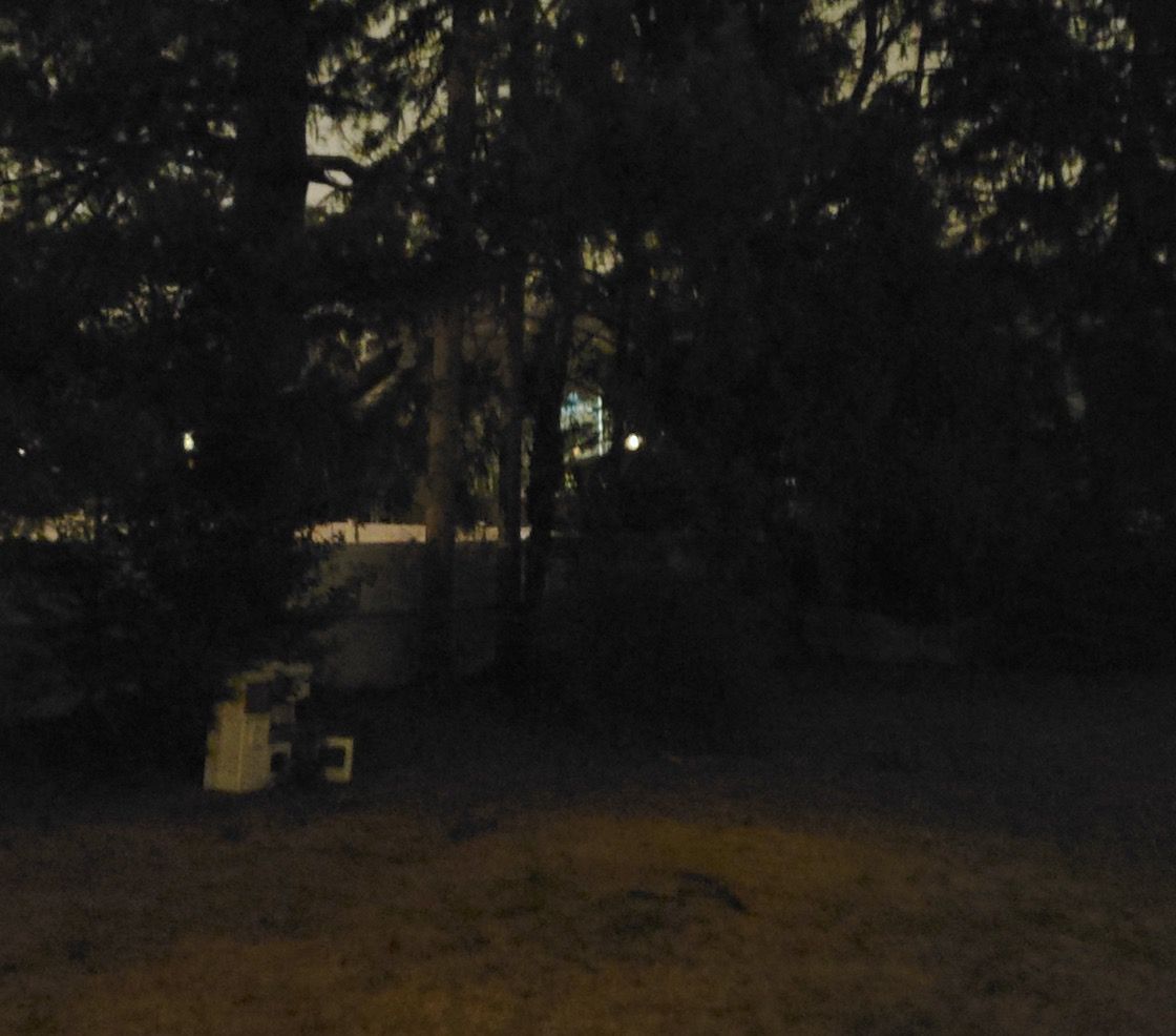 Samsung Galaxy S20 i pierwsze próbki z aparatu. Ulepszony tryb nocny i kiepski zoom 30x 2