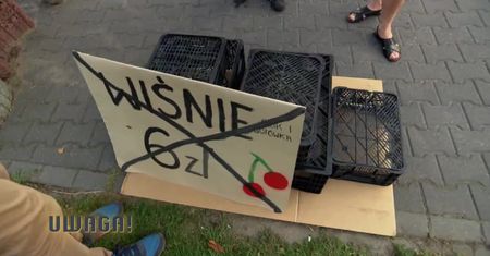 16-latka sprzedawała wiśnie, by zarobić na wycieczkę szkolną. Nagle pojawiła się policja i sanepid