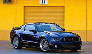 Shelby 1000