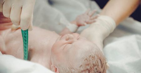 Nastolatka znalazła w lesie noworodka? Sprawą zajęła się policja, dziecko przebywa w szpitalu