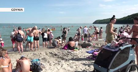 Sinice w Bałtyku. Czerwone flagi na kąpieliskach w Trójmieście