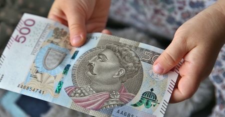 Banknoty 500 zł w powszechnym obiegu. NBP przypomina, że można nimi płacić