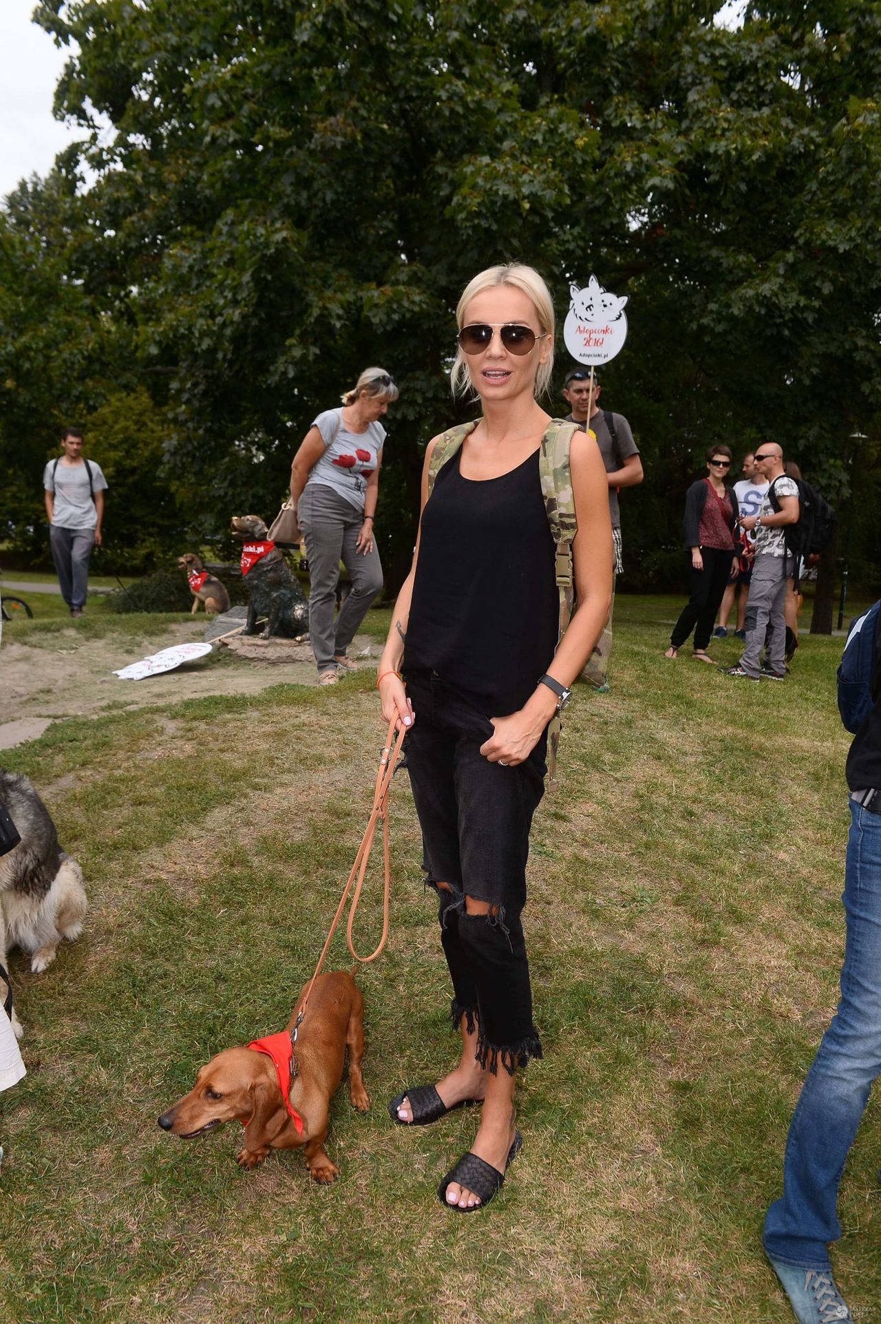 Agnieszka Szulim na spacerze adoptowanych psów
