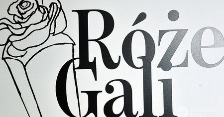 Znamy laureatów plebiscytu Róże Gali 2016! Nie obyło się bez zaskoczeń!
