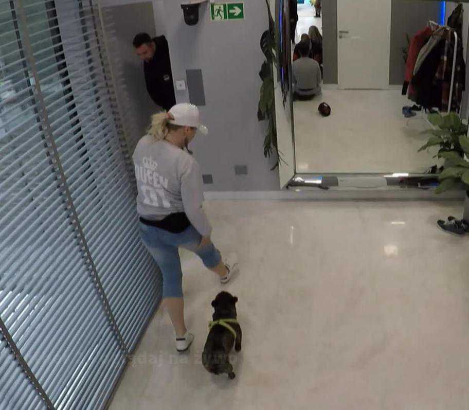 Psa z domu Wielkiego Brata wyprowadziła Magda Zając
