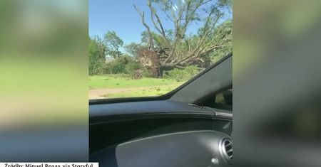 Rosły dziesiątki lat, tornado połamało je w kilka sekund. Zniszczone drzewa przy drogach w Teksasie