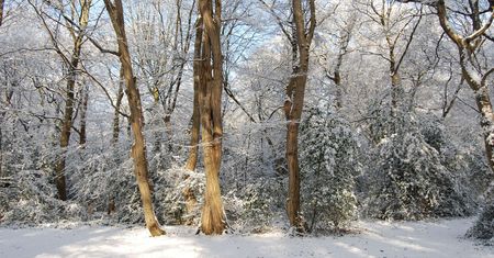 Środa z opadami w całym kraju. Od czwartku poprawa pogody