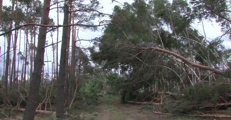 Zastępca komendanta obozu w Suszku usłyszał zarzuty w związku ze śmiercią harcerek podczas nawałnicy w 2017 roku