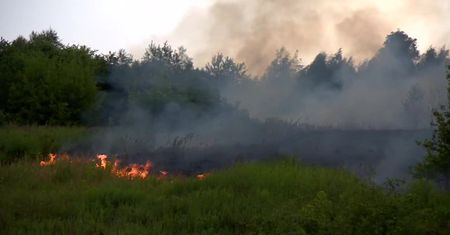 16 zastępów straży pożarnej walczyło z pożarem traw w Łodzi
