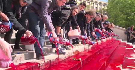 Aktywiści wylali na schodach Trocadero czerwoną farbę. Symbolizuje krew zwierząt zagrożonych wyginięciem