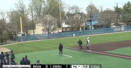Zamiast na rykowisku, na… boisku. Jelenie przeskoczyły przez płot i przeszkodziły w meczu baseballa