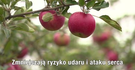 5 produktów, które powinny znaleźć się w twojej codziennej diecie