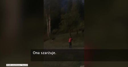 Niedźwiedzica grizzly szarżowała na domowników w Kanadzie. Mężczyzna ją postrzelił