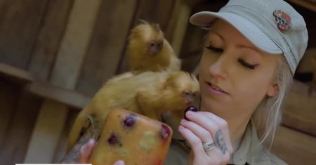 Zwierzaki raczą się lodowymi przysmakami w australijskim zoo. Ma to im pomóc przetrwać falę upałów