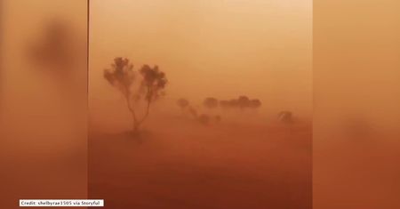 Burze piaskowe w Australii. Osobom chorym zaleca się nie wychodzić z domu