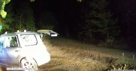 Niedźwiadek zatrzasnął się w samochodzie. Uratowali go policjanci