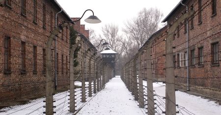 Pierwszy oskarżony za urodziny Hitlera. Wyraził skruchę