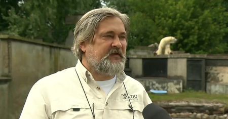 “To kolejny przejaw głupoty”. Pijany mężczyzna wpadł do wybiegu dla niedźwiedzi w Parku Praskim
