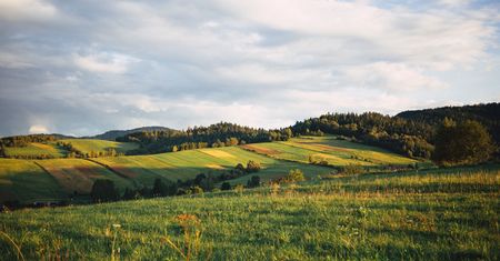Podkarpacie przyciąga coraz więcej turystów. Dzięki intensywnej promocji szybko rośnie zwłaszcza liczba zagranicznych gości