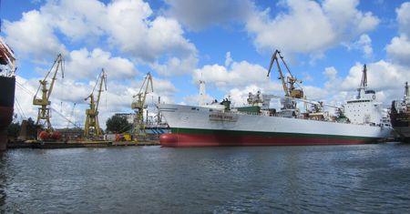 Polskie stocznie pilnie potrzebują kontraktów. Reanimacja przemysłu stoczniowego będzie wymagać miliardowych nakładów na infrastrukturę