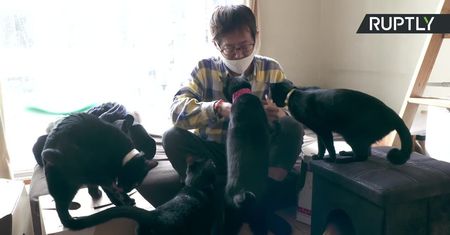 Czarne koty nie wszędzie przynoszą pecha! W Japonii powstała jedyna taka kawiarnia na świecie