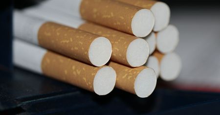 KAS i CBŚP przejęły 9 ton suszu i krajanki tytoniowej