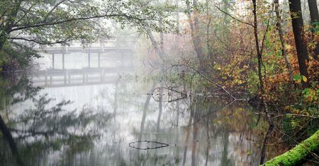 Poniedziałek ciepły i deszczowy. Na Ziemi Lubuskiej temperatura sięgnie 18 stopni
