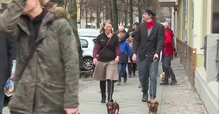 Święto miłośników jamników w Berlinie. Ulicami miasta przeszła parada psów