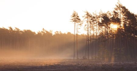 Sobota pogodna w większości kraju. Będzie nawet powyżej 10 stopni