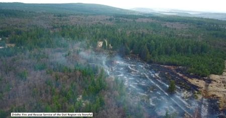 Pożary lasów w Czechach. Najgorsza susza od 500 lat