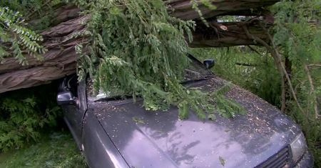 Zniszczenia w Wielkopolsce po przejściu nawałnicy