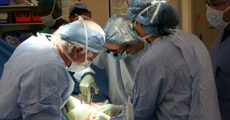 Trwa akcja promująca transplantologię
