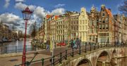 Amsterdam stworzył system dla ofiar przemocy domowej, które mogły ją zgłosić podając hasło w aptece